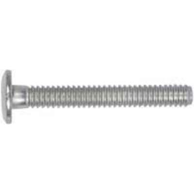1/4" (.125-.625) S.S Truss Head Lockbolt